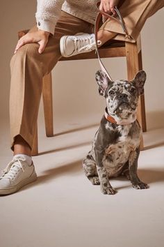 a person sitting on a wooden chair with a dog leash attached to it's neck