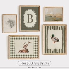 four framed pictures with deer, duck and bird on them in various frames against a white wall