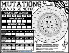 a poster with the words and numbers for mutations, grab & go notes