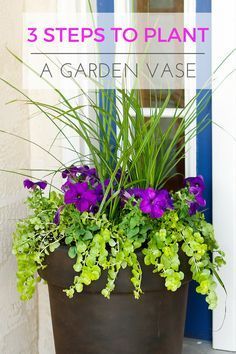 a potted plant with purple and green flowers in front of a blue door way