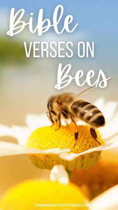 a bee sitting on top of a flower with the words bible verses on bees