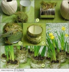 the instructions for how to make moss pots