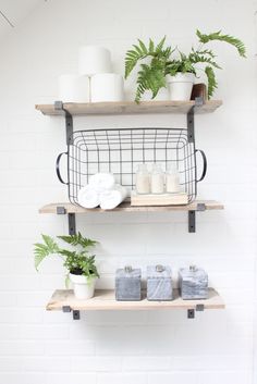 some shelves with plants and candles on them