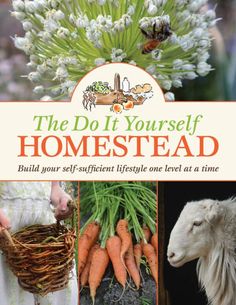 the do it yourself guide to homestead