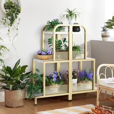 three shelves with plants in them on the floor