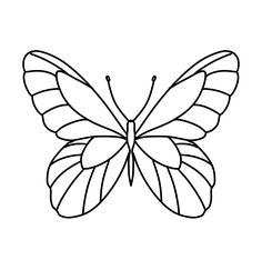 a black and white drawing of a butterfly