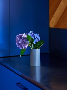 purple flowers are in a white vase on a blue counter