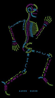 an image of a skeleton with the words human anatomy written in different languages on it