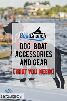 a dog wearing a life jacket standing on top of a boat with the words boat crunch