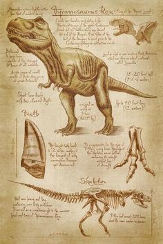 an old paper with some drawings of dinosaurs