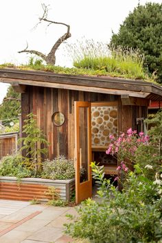 an outhouse with a green roof and plants growing on it