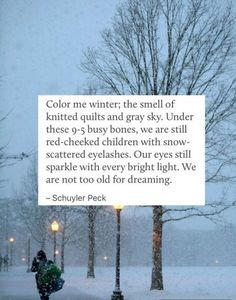 a person walking down a snow covered street next to trees and lampposts with a poem written on it