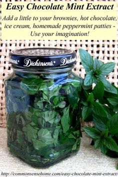 a glass jar filled with green leaves next to a potted plant and text that reads, easy chocolate mint extract add a little to your brownies, hot chocolate