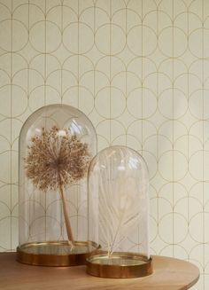 two glass domes with dried plants under them on a wooden table in front of a patterned wall