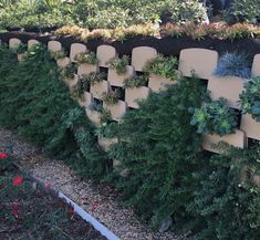 a row of chairs sitting next to a wall covered in plants