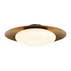 a ceiling light with an oval glass shade