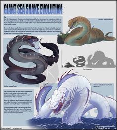 an info sheet with different types of snakes and other animals in it's body