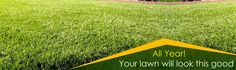 a yard with green grass and fenced in area that says, all year your lawn will look this good