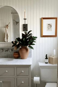 a potted plant sitting on top of a white counter next to a sink in a bathroom