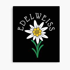 a white daisy with the words dewies on it's black background canvas print