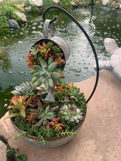 a potted planter with succulents and other plants in it sitting on a rock next to a pond