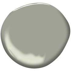 a gray paint color with white background