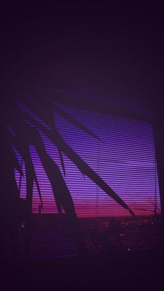 the silhouette of palm trees against a purple and blue sky at night with light coming through blinds