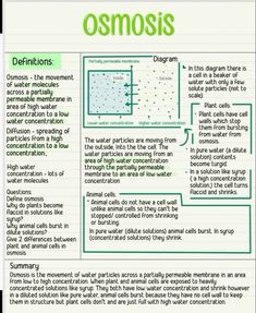 an article about osmosis on a piece of paper with green writing and diagrams