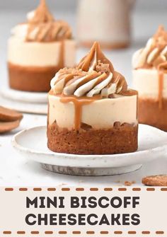 mini biscoff cheesecakes on a white plate with the title overlay