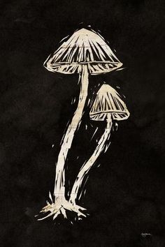 two mushrooms sitting on top of a black surface with white ink drawn over the tops