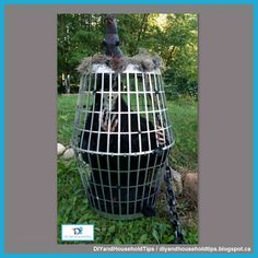 a bird in a cage on the grass with trees in the backgrounnd