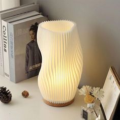 a white lamp sitting on top of a table next to a book and pine cones