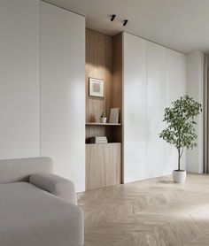 a living room with white walls and wood flooring, a plant in the corner