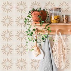 kitchen utensils hanging on the wall next to potted plants and other items