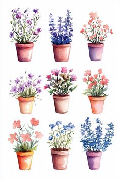 six potted plants with flowers painted on them in watercolor and ink, each containing different colors