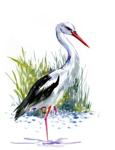 a watercolor painting of a stork standing in the grass next to some water