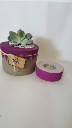 a potted plant sitting next to a roll of toilet paper on a white surface