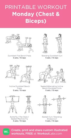 the printable workout plan for monday chest and biceps