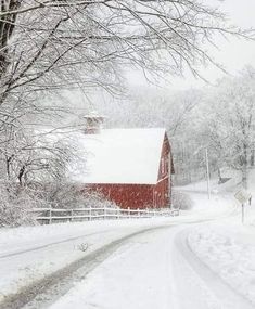 a red barn in the middle of a snow covered road with trees on both sides