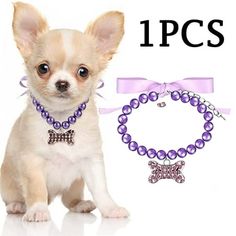 a small dog wearing a purple beaded necklace and matching bracelet with a bow tie