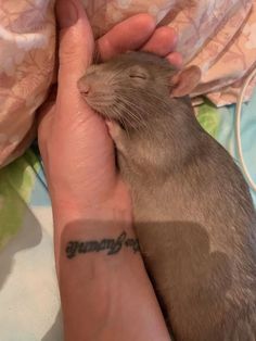 a person holding a small rodent in their hand with the word'love'tattooed on it