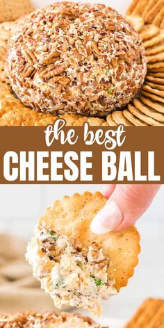 the best cheese ball recipe is made with crackers and parmesan cheeses