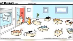 an image of cats in boxes on the floor