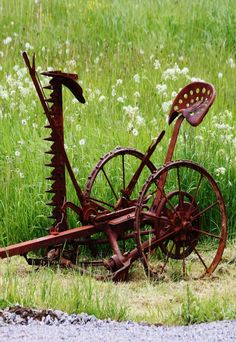 an old rusted bike sitting in the grass