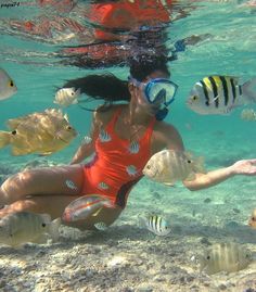 a woman in an orange swimsuit is surrounded by fish