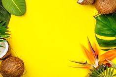 an overhead view of tropical fruits and coconuts on a yellow background with space for text