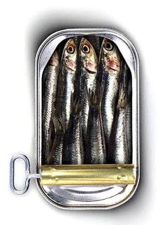 five fish in a metal container with a hook