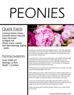 an advertisement for peonies is shown in black and white, with pink flowers