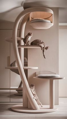 two cats sitting on top of a white shelf next to a cat bed and table