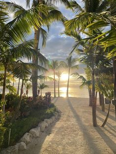 the sun shines through palm trees on a tropical beach